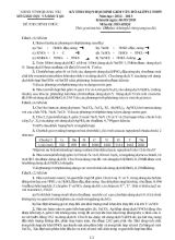 Kỳ thi chọn học sinh giỏi văn hóa lớp 12 THPT năm học 2012  2013 môn thi Hóa học